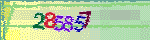 animated captcha